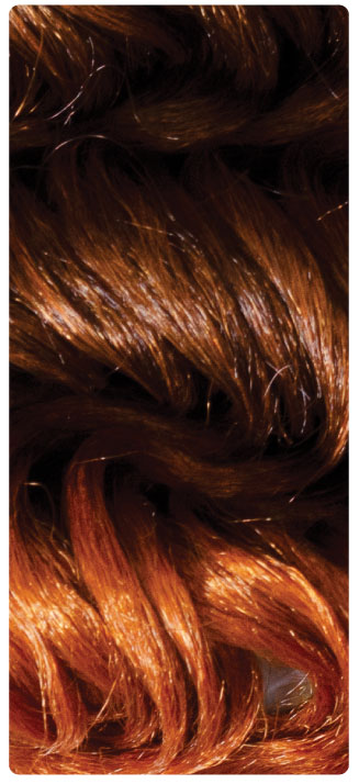 T33/Amber