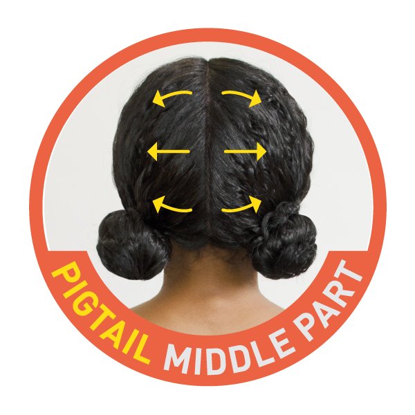 Picture of FCL-PAIGE