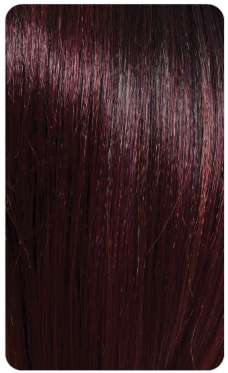 SL/Burgundy